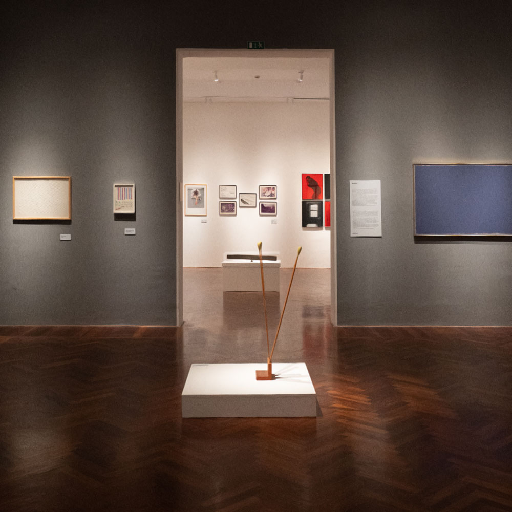 La nuova esposizione della Collezione permanente del CAMeC