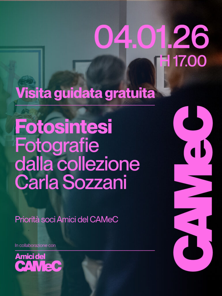 Visita guidata gratuita a Fotosintesi - Fotografie dalla collezione Carla Sozzani