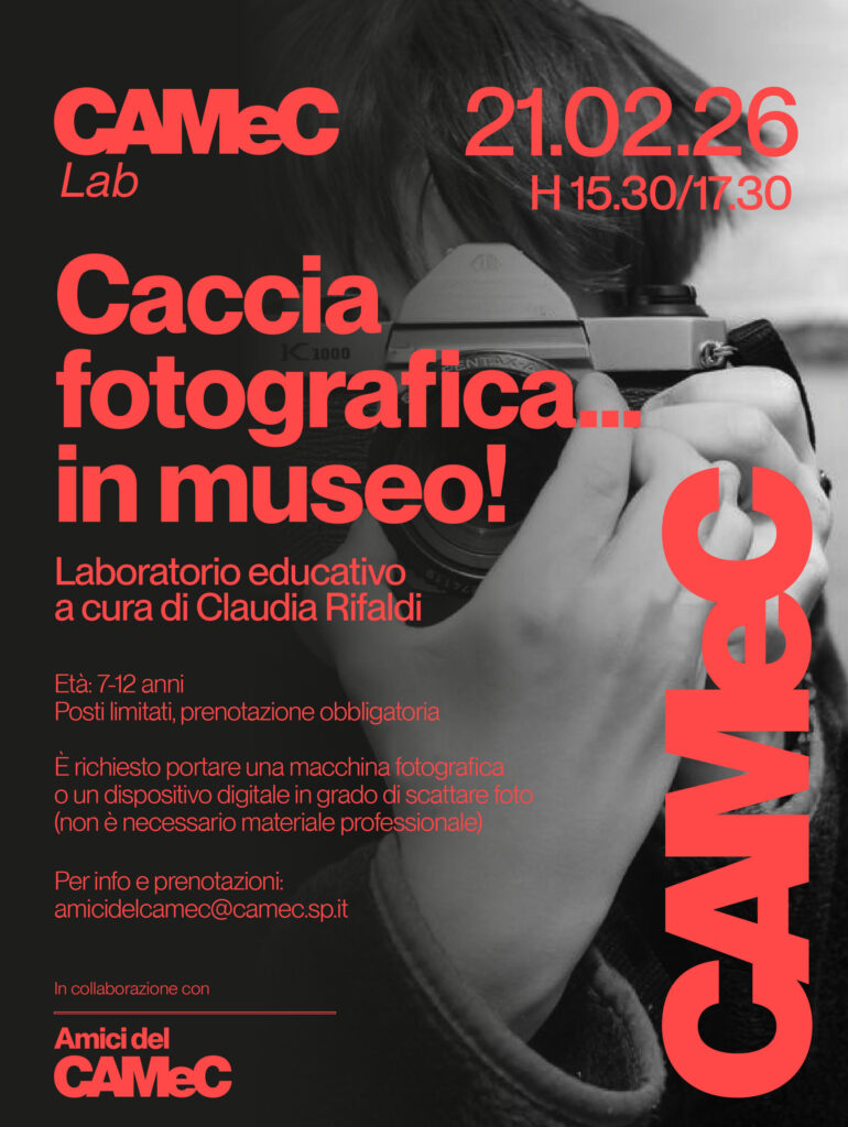 Caccia fotografica in museo